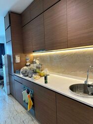 Queens Peak (D3), Condominium #483343101